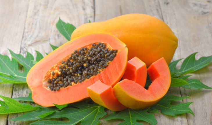 Fresh Papaya Exporter NS Global Trade Exports