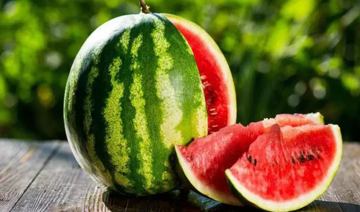 Fresh Watermelon Exporter NS Global Trade Exports