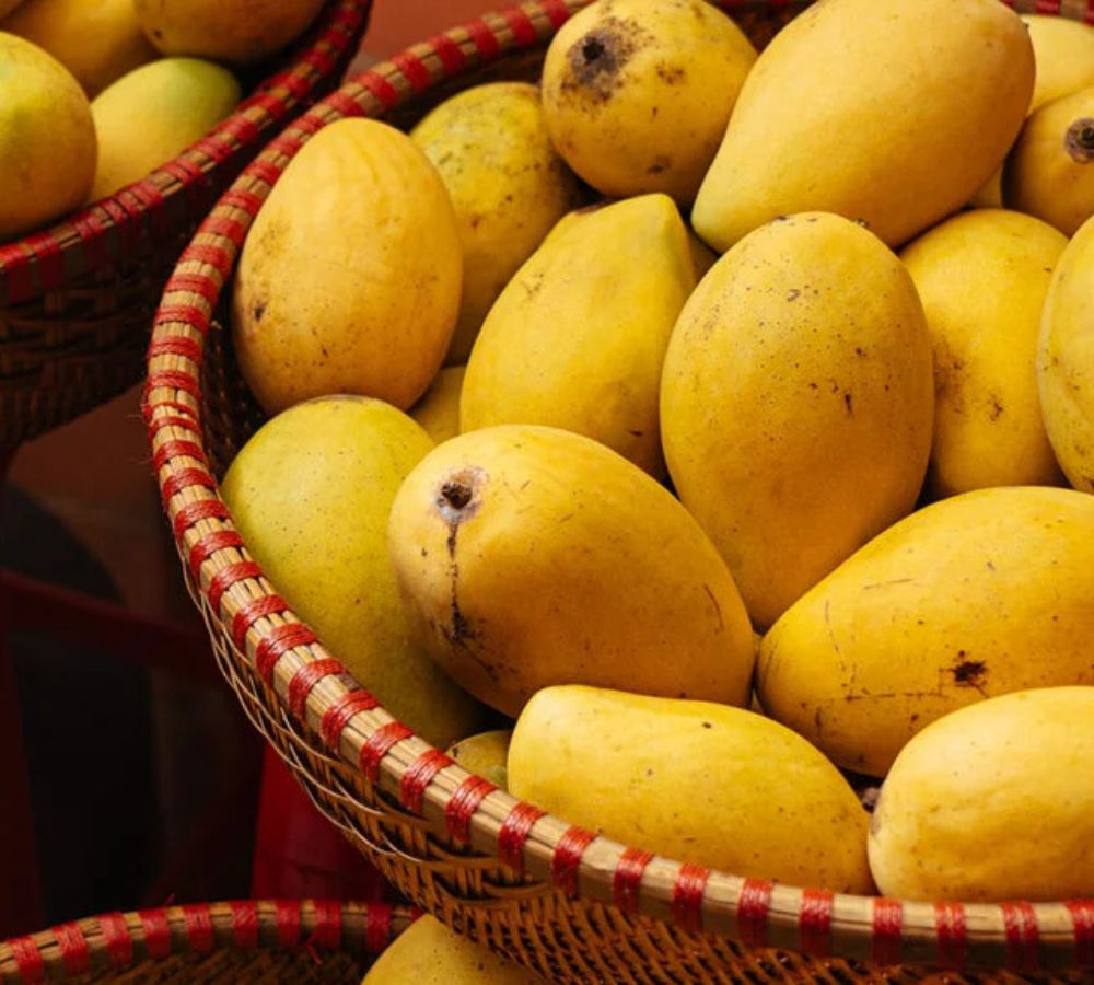 Fresh Mango Exporter